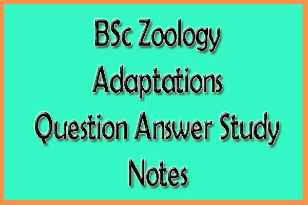 Zoology Adaptations Question Answer