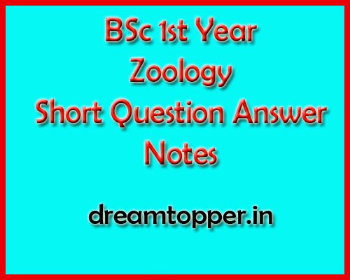 Polymorphism Bsc zoology 1st year Notes