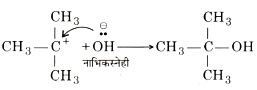 BSC Organic Chemistry Hybridization Benzene free radical Notes