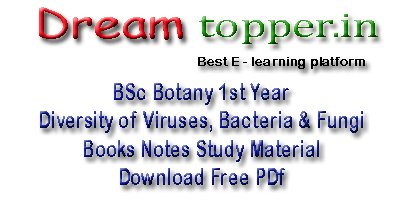 BSc Botany Notes